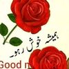 shahbazllm