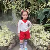 wongcehuynh