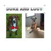 lucy.n.duke