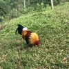 ga_rung_farm26