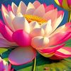 gondal_3355