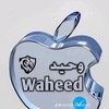 waheedali813