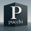 pucchi_japan