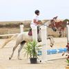 aziz_akrout