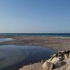 alialmajdoub0
