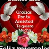 abuela.tiktoker.10