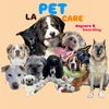 lapetcare