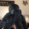 danteguardian