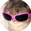 swaggygorl101
