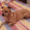 lolipelirroja86._