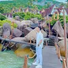 phuongphuong.9224
