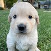keepingupwithwoxie