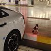 7meed_06