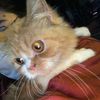 luvly.beeiby