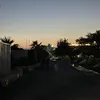 sophie_52203