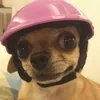 blavgg