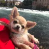 lily_091021