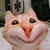 mybvlg