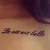 hasis_welt_ttv
