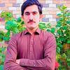 bashir364