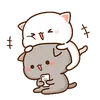 tiernoxtierna