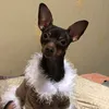valentina_809