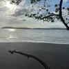 juliemurphy461011