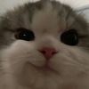 윤