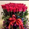 begum_0621