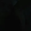 tranbaohoang1998