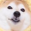 softsrve