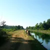 duynguyen110282