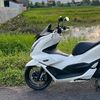 white_orca27