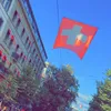 yara_w70