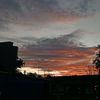 dailynfs_