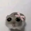 thatssadismymiddlename