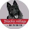 blacky.village