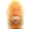 maxymoo1000