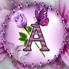 user5154263728727