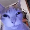 ctrl_c.pand0slav