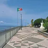 dessyriky65