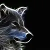 hunterlxl