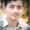 akbarhussain7109