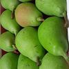 khodor__hamad12