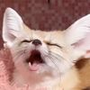 vixvs