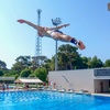 danich_diving