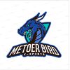 officialmeteo_bird