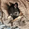 sarah_7746