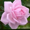 .user3089240106507