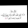 abo.omar216